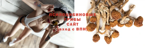 герыч Алексин