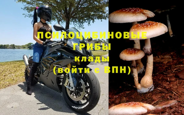 наркотики Алзамай